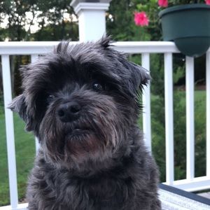 Meet your Posher, Leah